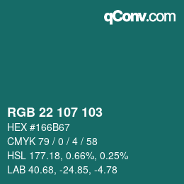Color code: RGB 22 107 103 | qconv.com