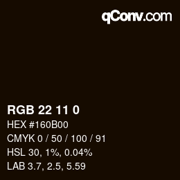Color code: RGB 22 11 0 | qconv.com