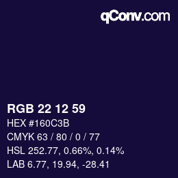 Color code: RGB 22 12 59 | qconv.com