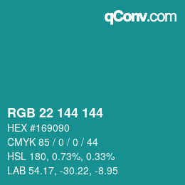 Color code: RGB 22 144 144 | qconv.com