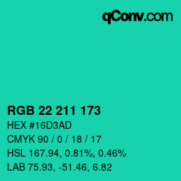 Color code: RGB 22 211 173 | qconv.com