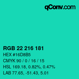 Color code: RGB 22 216 181 | qconv.com
