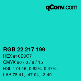 Color code: RGB 22 217 199 | qconv.com