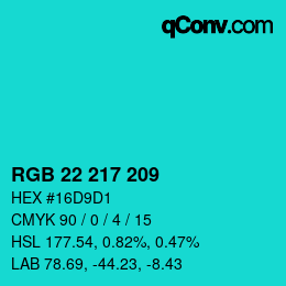 Color code: RGB 22 217 209 | qconv.com