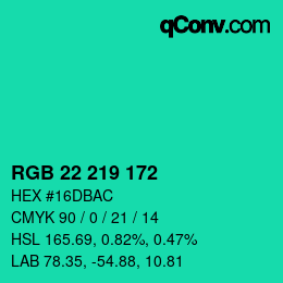 Color code: RGB 22 219 172 | qconv.com