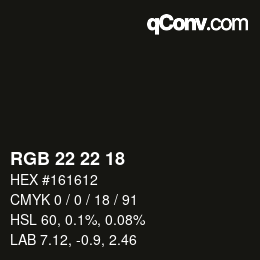 Color code: RGB 22 22 18 | qconv.com