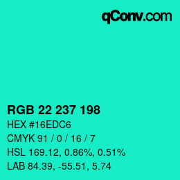 Color code: RGB 22 237 198 | qconv.com