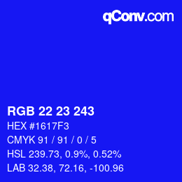 Color code: RGB 22 23 243 | qconv.com
