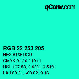 Color code: RGB 22 253 205 | qconv.com