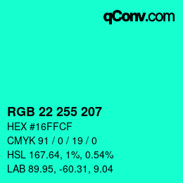 Color code: RGB 22 255 207 | qconv.com