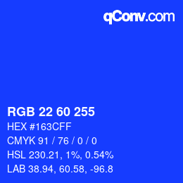 Color code: RGB 22 60 255 | qconv.com