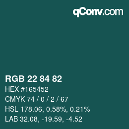 Color code: RGB 22 84 82 | qconv.com