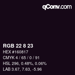 Color code: RGB 22 8 23 | qconv.com