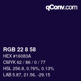 Color code: RGB 22 8 58 | qconv.com