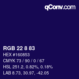 Color code: RGB 22 8 83 | qconv.com