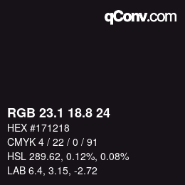Color code: RGB 23.1 18.8 24 | qconv.com