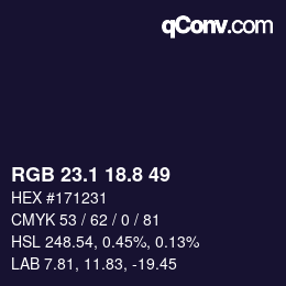 Color code: RGB 23.1 18.8 49 | qconv.com