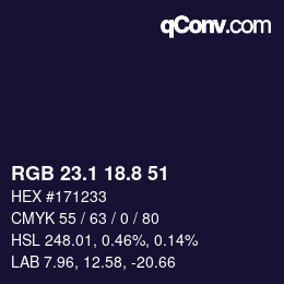 Color code: RGB 23.1 18.8 51 | qconv.com