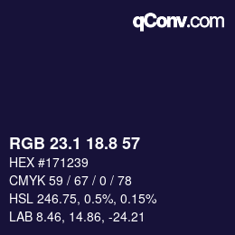 カラーコード: RGB 23.1 18.8 57 | qconv.com