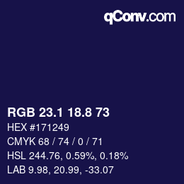 Color code: RGB 23.1 18.8 73 | qconv.com