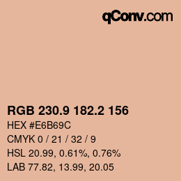 Color code: RGB 230.9 182.2 156 | qconv.com