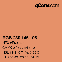 Color code: RGB 230 145 105 | qconv.com