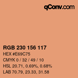 カラーコード: RGB 230 156 117 | qconv.com