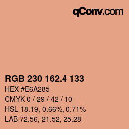 カラーコード: RGB 230 162.4 133 | qconv.com