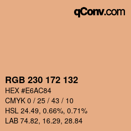 Color code: RGB 230 172 132 | qconv.com