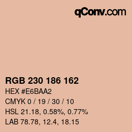 Color code: RGB 230 186 162 | qconv.com