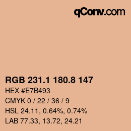 Color code: RGB 231.1 180.8 147 | qconv.com