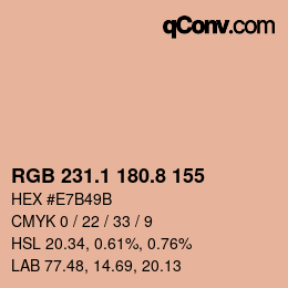 Color code: RGB 231.1 180.8 155 | qconv.com