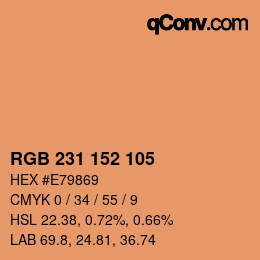 カラーコード: RGB 231 152 105 | qconv.com