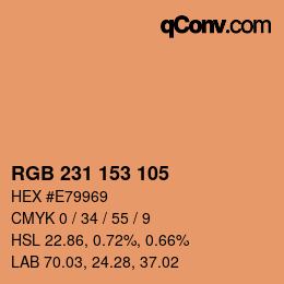 Color code: RGB 231 153 105 | qconv.com