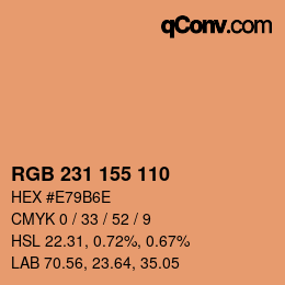 カラーコード: RGB 231 155 110 | qconv.com
