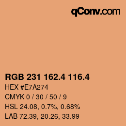 カラーコード: RGB 231 162.4 116.4 | qconv.com
