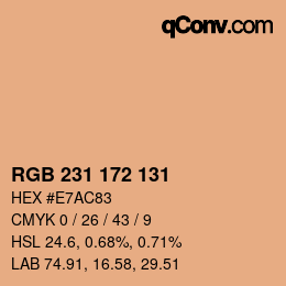 カラーコード: RGB 231 172 131 | qconv.com