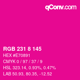 Color code: RGB 231 8 145 | qconv.com