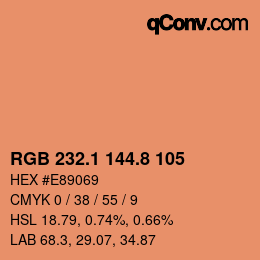 Color code: RGB 232.1 144.8 105 | qconv.com