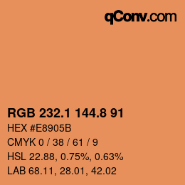 Color code: RGB 232.1 144.8 91 | qconv.com