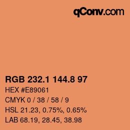 Color code: RGB 232.1 144.8 97 | qconv.com