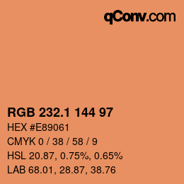 カラーコード: RGB 232.1 144 97 | qconv.com