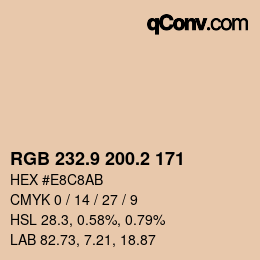 Color code: RGB 232.9 200.2 171 | qconv.com