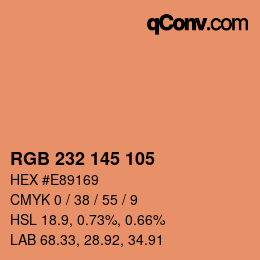 Color code: RGB 232 145 105 | qconv.com