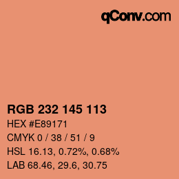 Color code: RGB 232 145 113 | qconv.com