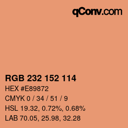 Color code: RGB 232 152 114 | qconv.com