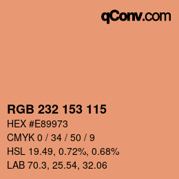 Color code: RGB 232 153 115 | qconv.com