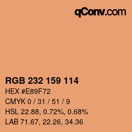 Color code: RGB 232 159 114 | qconv.com