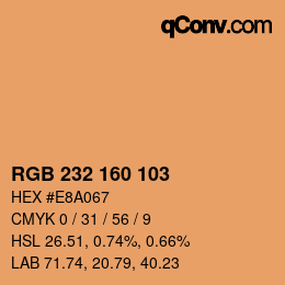 Color code: RGB 232 160 103 | qconv.com
