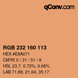 Color code: RGB 232 160 113 | qconv.com